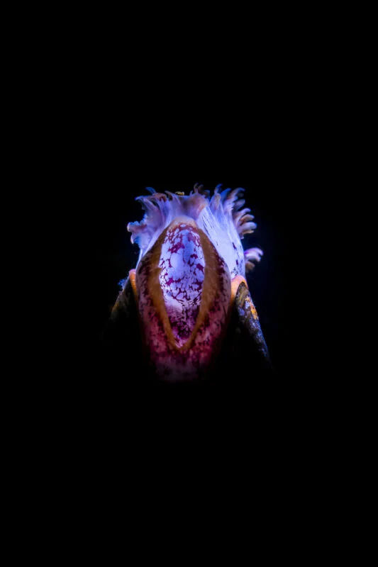 Underwater